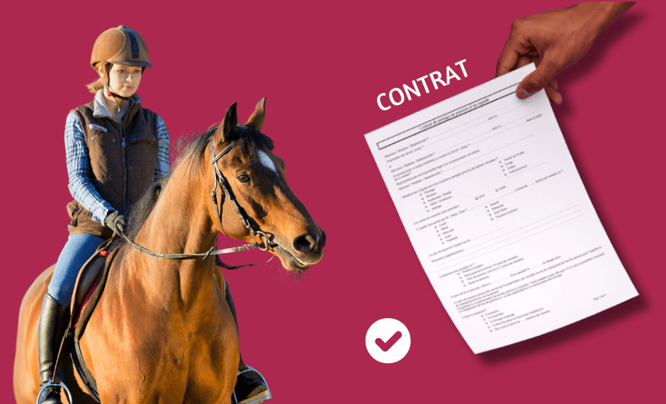 Contrat de Demi-Pension Cheval : Modèle Gratuit Word + PDF 2026