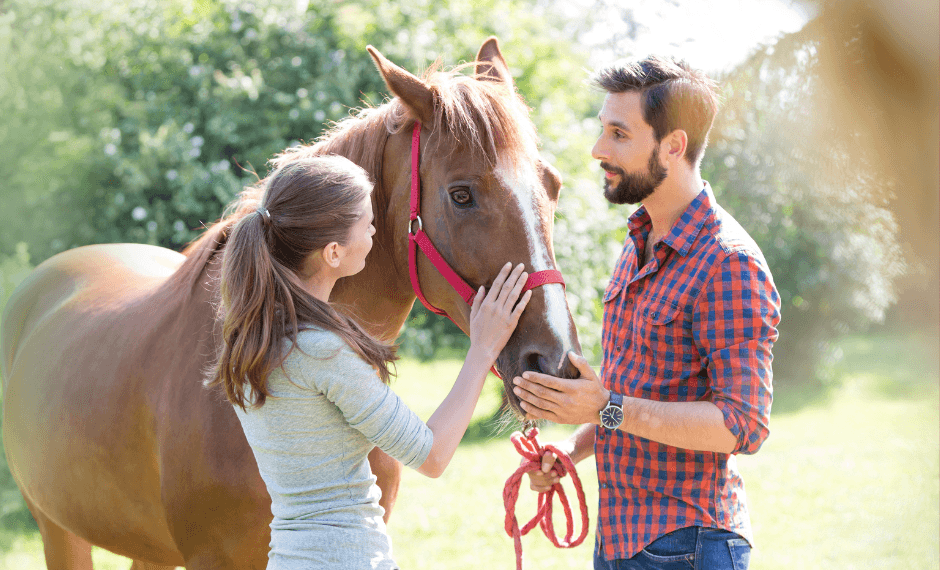 Le contrat de demi-pension : Pour une bonne entente avec le propriétaire