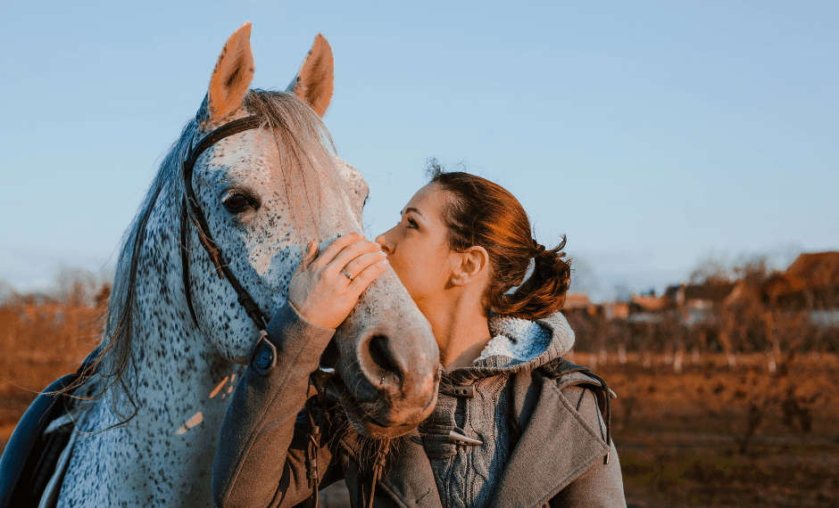 Quelle assurance pour un cheval en demi-pension ?