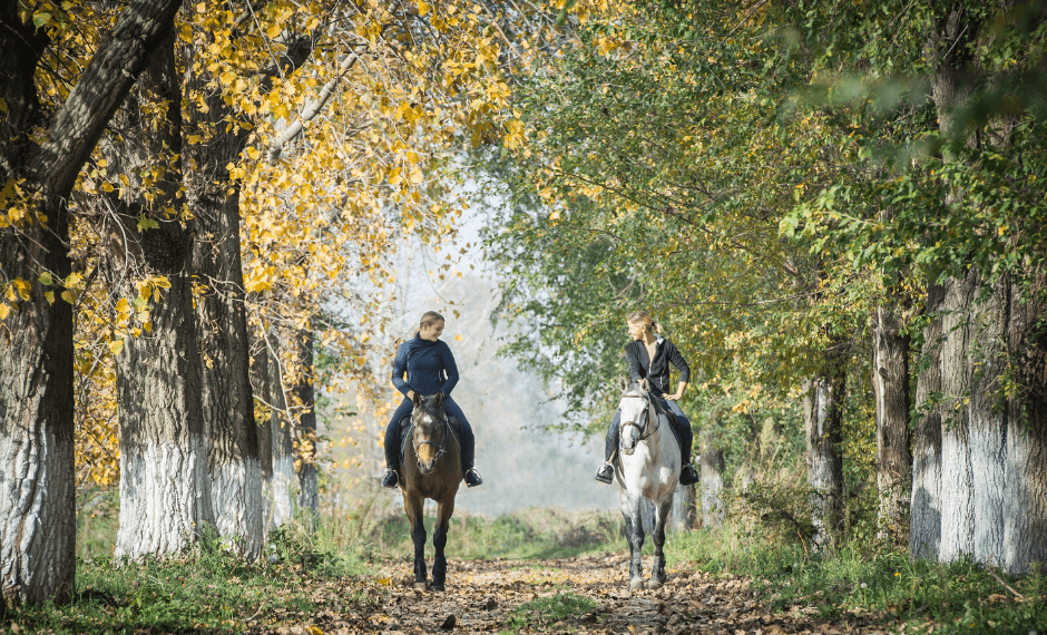 Tiers, Quart et Demi-Pension : quelle formule choisir ?