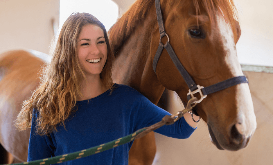 Trouver une Demi-Pension pour son Cheval : Guide Complet 2026