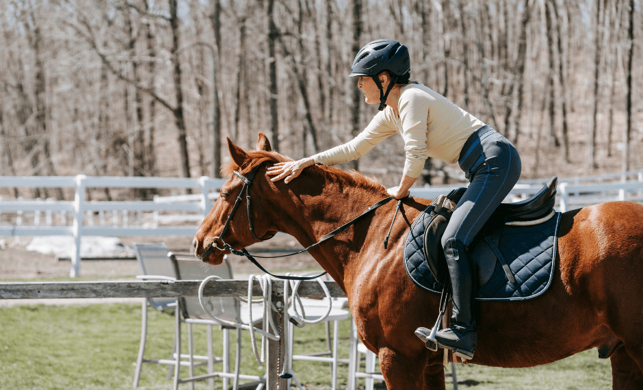 Trouver une demi-pension avec un cheval qui match